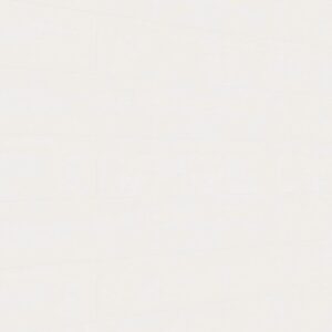 Blanco uni brillante LD