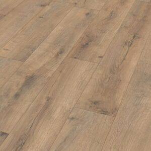 Roble agrietado Terra