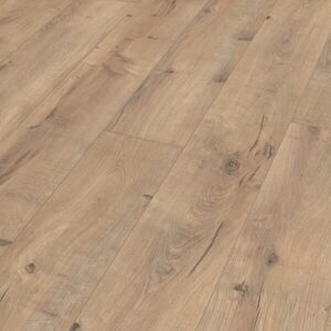 Roble agrietado Terra